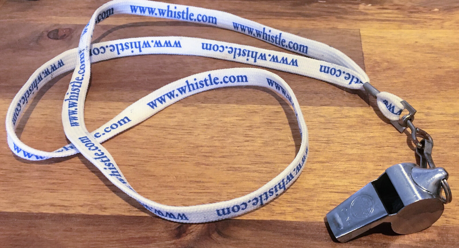 The metal whistle on a www.whistle.com lanyard that came in the box with each InterJet.