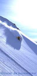 powder skier