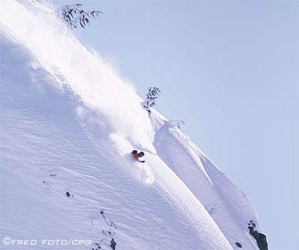 tree skiing in secret stash