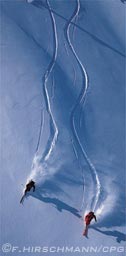 aerial view of skiers